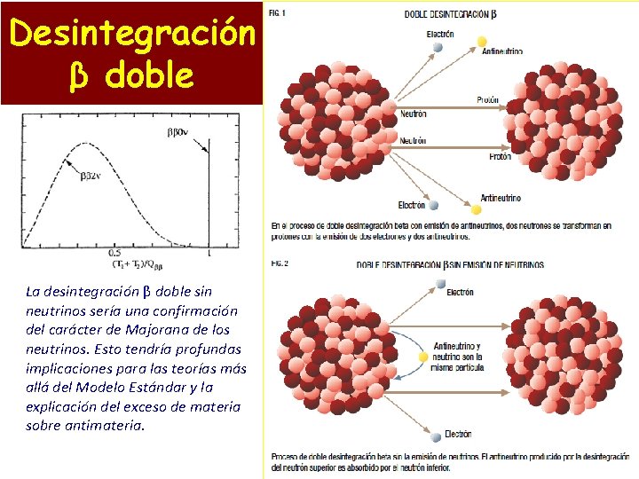 Desintegración β doble La desintegración β doble sin neutrinos sería una confirmación del carácter