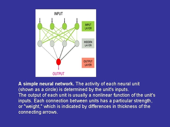 A simple neural network. The activity of each neural unit (shown as a circle)