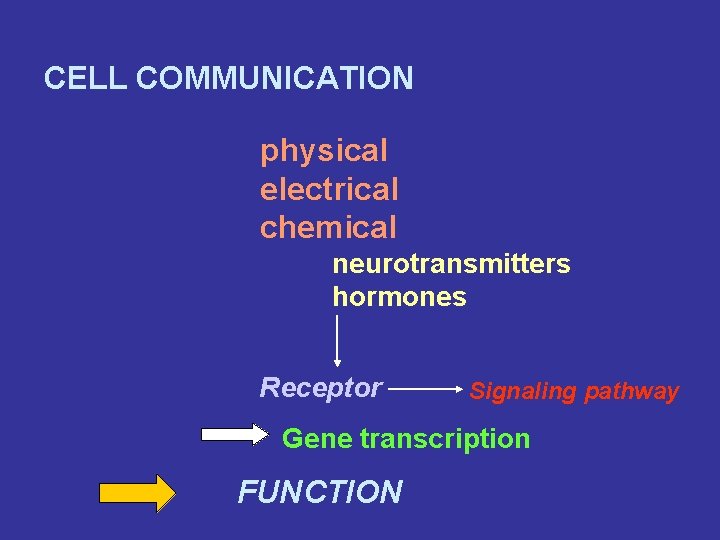 CELL COMMUNICATION physical electrical chemical neurotransmitters hormones Receptor Signaling pathway Gene transcription FUNCTION 