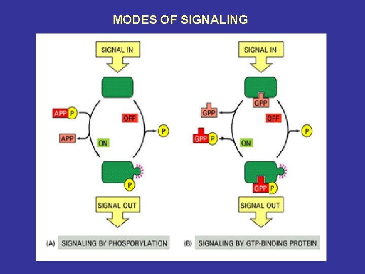 MODES OF SIGNALING 