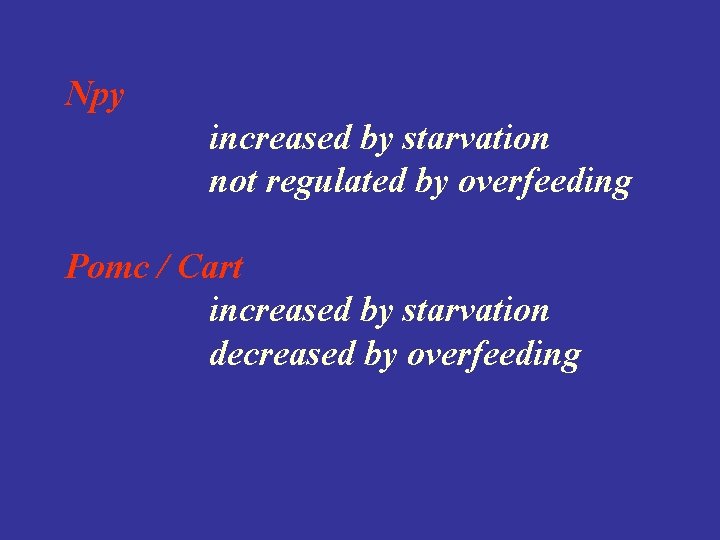 Npy increased by starvation not regulated by overfeeding Pomc / Cart increased by starvation