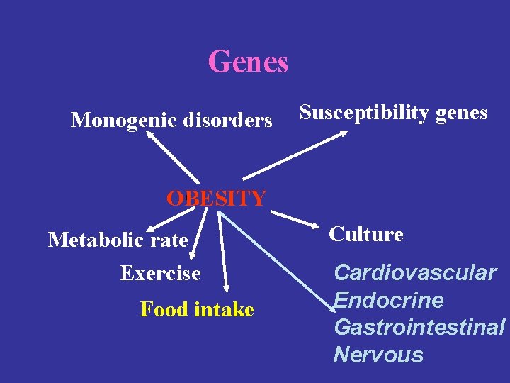 Genes Monogenic disorders Susceptibility genes OBESITY Metabolic rate Exercise Food intake Culture Cardiovascular Endocrine