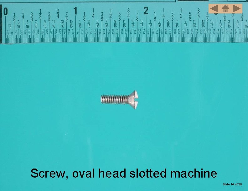 Screw, oval head slotted machine Slide 14 of 38 
