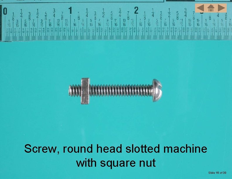 Screw, round head slotted machine with square nut Slide 16 of 38 