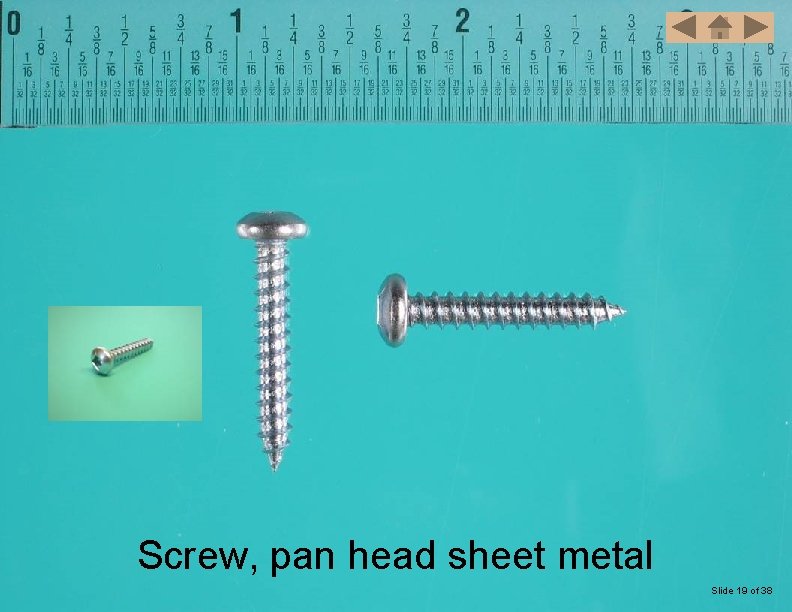Screw, pan head sheet metal Slide 19 of 38 
