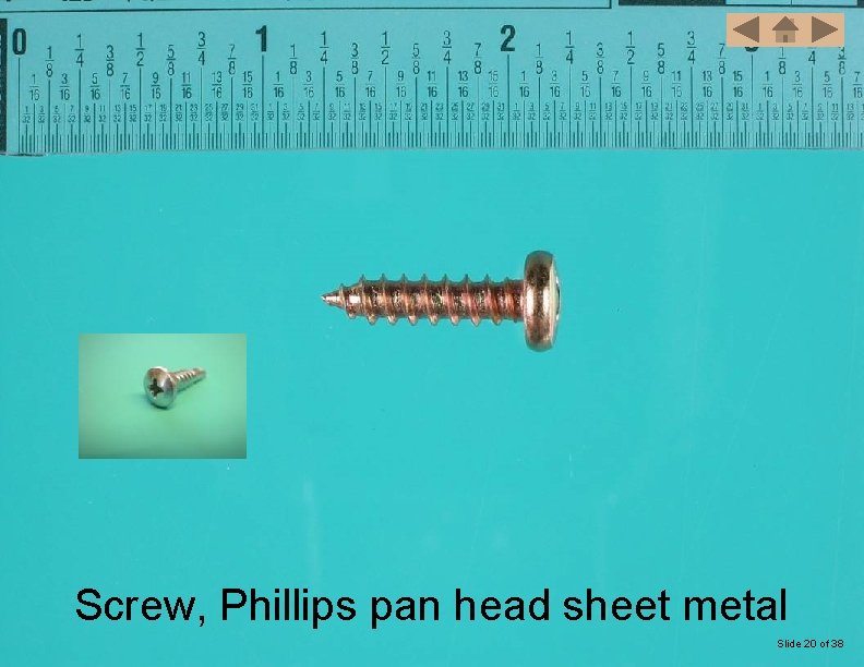 Screw, Phillips pan head sheet metal Slide 20 of 38 