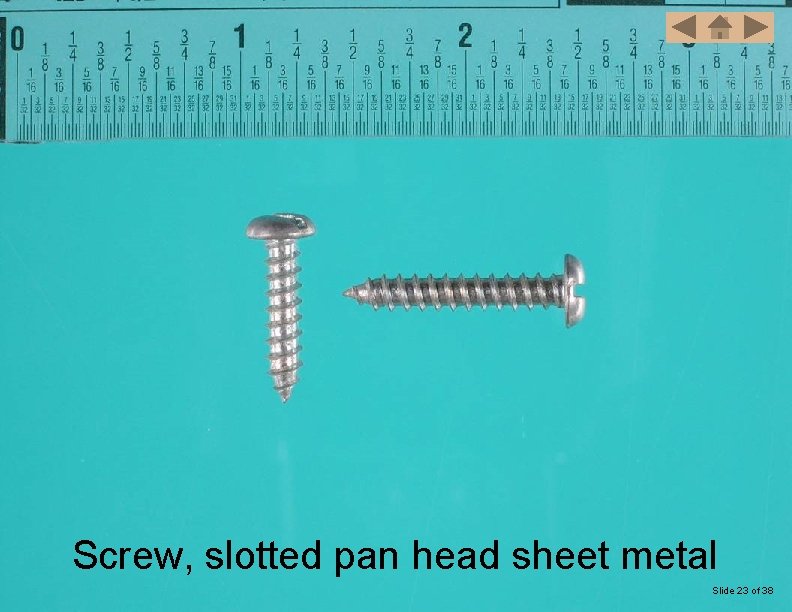 Screw, slotted pan head sheet metal Slide 23 of 38 