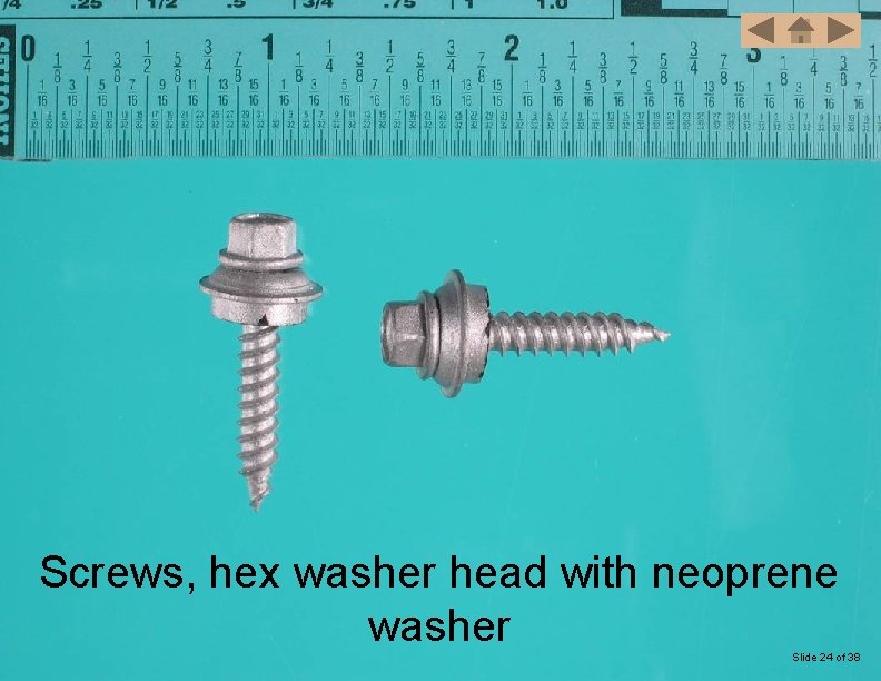 Screws, hex washer head with neoprene washer Slide 24 of 38 