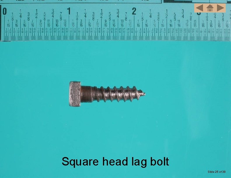 Square head lag bolt Slide 25 of 38 