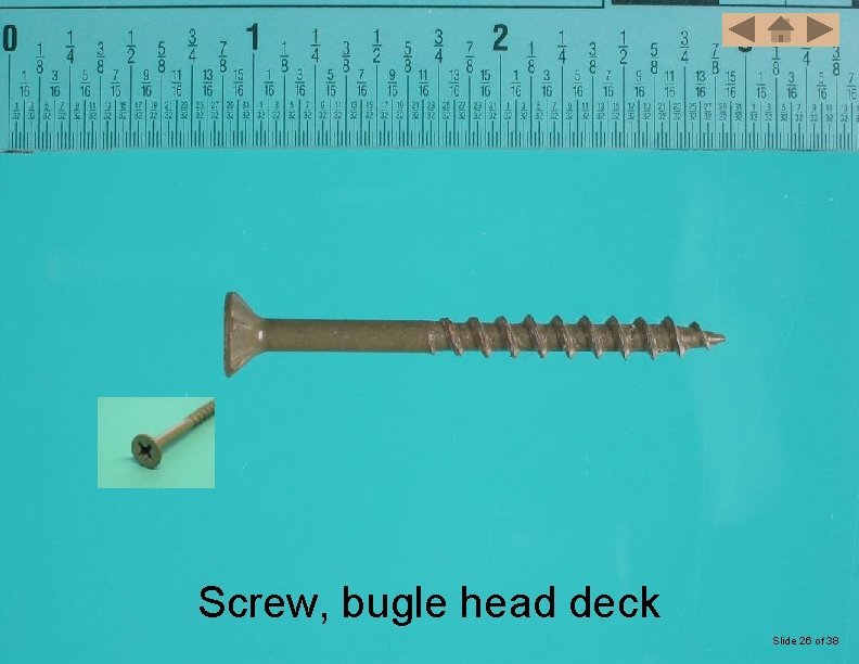 Screw, bugle head deck Slide 26 of 38 
