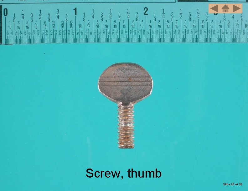 Screw, thumb Slide 28 of 38 