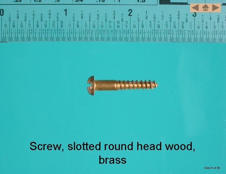 Screw, slotted round head wood, brass Slide 5 of 38 