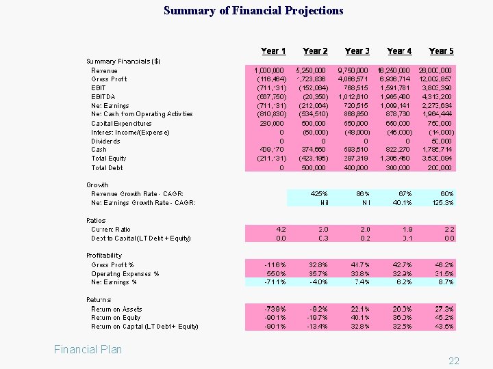 Summary of Financial Projections Financial Plan 22 