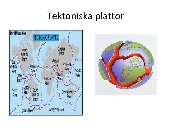 Tektoniska plattor 