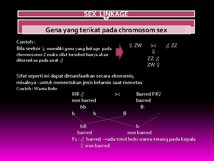 SEX LINKAGE Gena yang terikat pada chromosom sex Contoh : Bila seekor ♀ memiliki