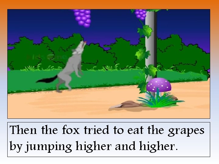 Then the fox tried to eat the grapes by jumping higher and higher. 