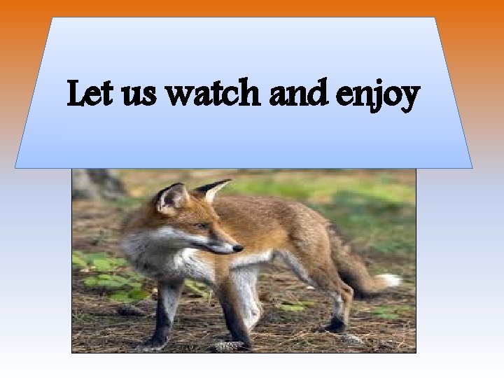Let us watch and enjoy 