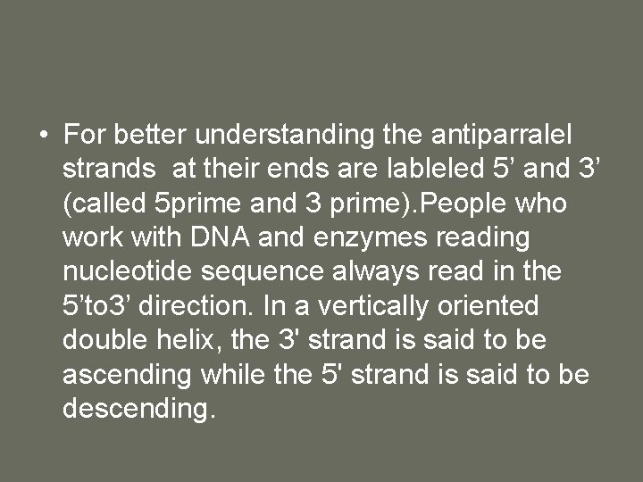  • For better understanding the antiparralel strands at their ends are lableled 5’