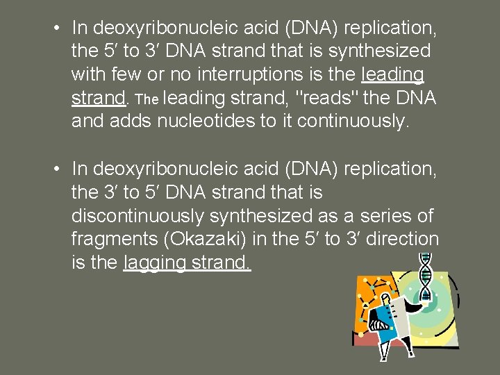  • In deoxyribonucleic acid (DNA) replication, the 5′ to 3′ DNA strand that