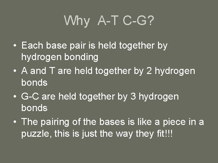Why A-T C-G? • Each base pair is held together by hydrogen bonding •