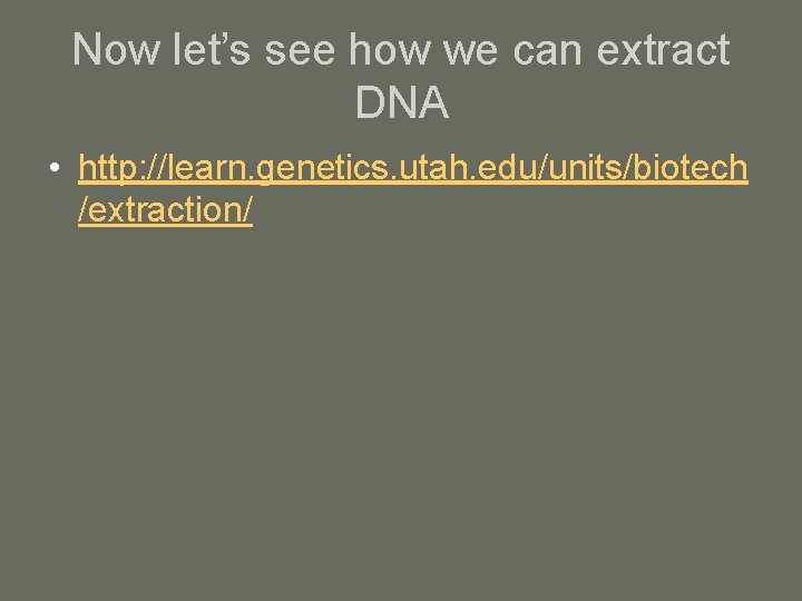 Now let’s see how we can extract DNA • http: //learn. genetics. utah. edu/units/biotech
