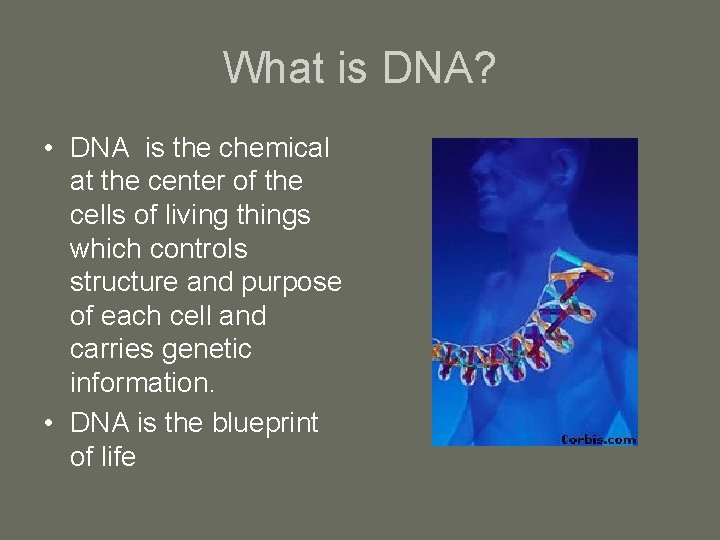What is DNA? • DNA is the chemical at the center of the cells