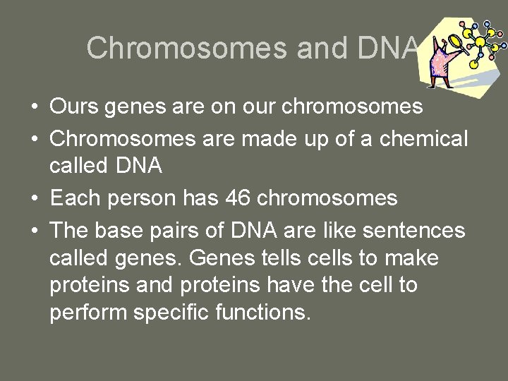 Chromosomes and DNA • Ours genes are on our chromosomes • Chromosomes are made
