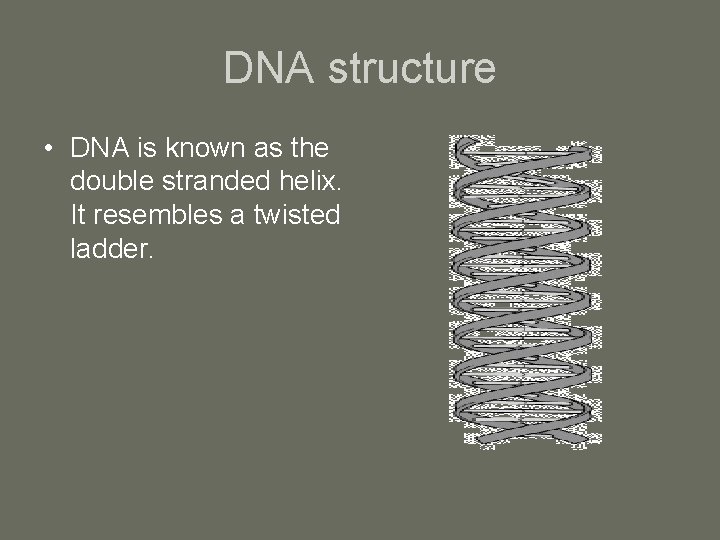 DNA structure • DNA is known as the double stranded helix. It resembles a