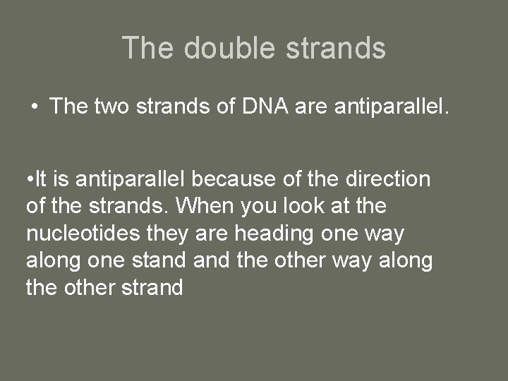 The double strands • The two strands of DNA are antiparallel. • It is