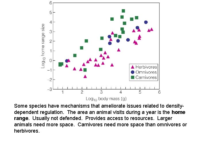 Some species have mechanisms that ameliorate issues related to densitydependent regulation. The area an