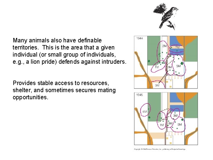 Many animals also have definable territories. This is the area that a given individual