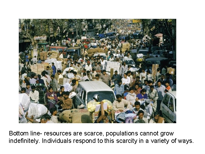 Bottom line- resources are scarce, populations cannot grow indefinitely. Individuals respond to this scarcity