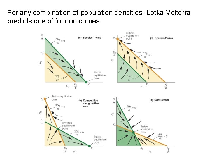 For any combination of population densities- Lotka-Volterra predicts one of four outcomes. 