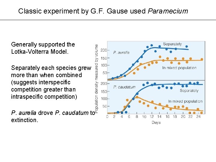Classic experiment by G. F. Gause used Paramecium Generally supported the Lotka-Volterra Model. Separately