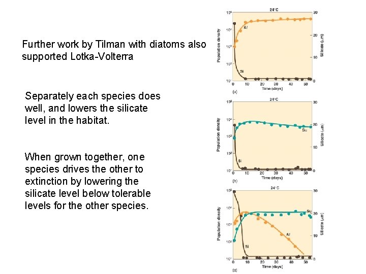 Further work by Tilman with diatoms also supported Lotka-Volterra Separately each species does well,