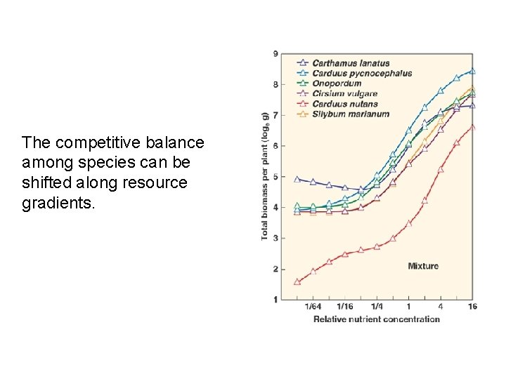 The competitive balance among species can be shifted along resource gradients. 