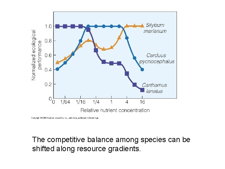 The competitive balance among species can be shifted along resource gradients. 