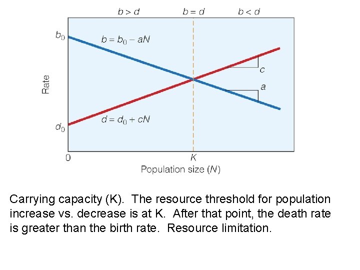 Carrying capacity (K). The resource threshold for population increase vs. decrease is at K.