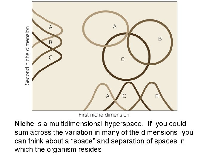 Niche is a multidimensional hyperspace. If you could sum across the variation in many