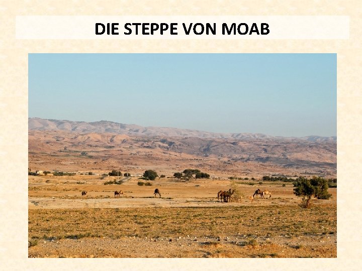 DIE STEPPE VON MOAB 