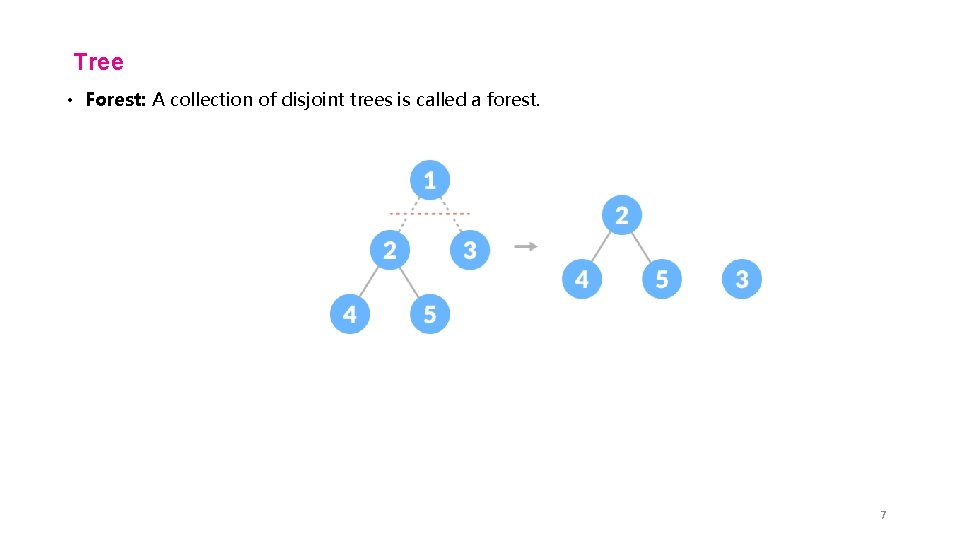 Tree • Forest: A collection of disjoint trees is called a forest. 7 