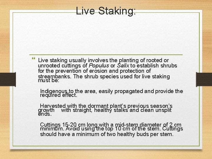 Live Staking: Live staking usually involves the planting of rooted or unrooted cuttings of