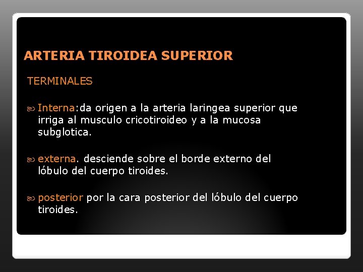 ARTERIA TIROIDEA SUPERIOR TERMINALES Interna: da origen a la arteria laringea superior que irriga