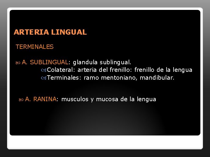 ARTERIA LINGUAL TERMINALES A. SUBLINGUAL: glandula sublingual. Colateral: arteria del frenillo: frenillo de la