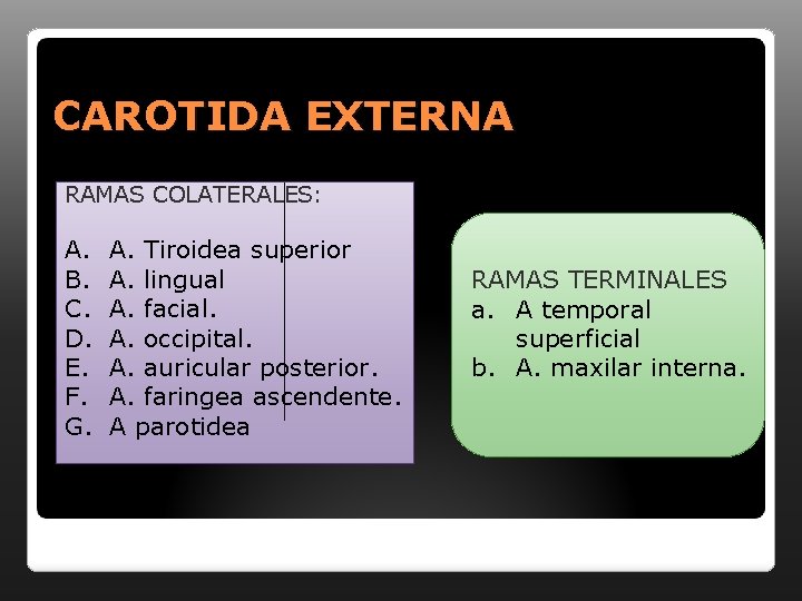 CAROTIDA EXTERNA RAMAS COLATERALES: A. B. C. D. E. F. G. A. Tiroidea superior