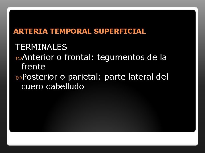 ARTERIA TEMPORAL SUPERFICIAL TERMINALES Anterior o frontal: tegumentos de la frente Posterior o parietal: