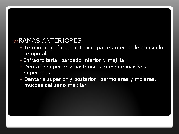  RAMAS ANTERIORES ◦ Temporal profunda anterior: parte anterior del musculo temporal. ◦ Infraorbitaria: