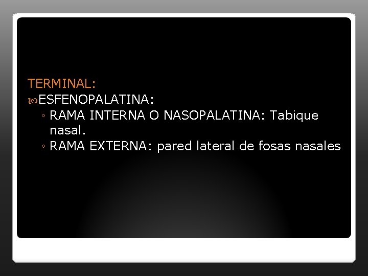TERMINAL: ESFENOPALATINA: ◦ RAMA INTERNA O NASOPALATINA: Tabique nasal. ◦ RAMA EXTERNA: pared lateral