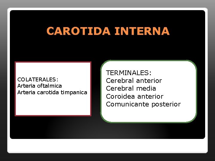 CAROTIDA INTERNA COLATERALES: Arteria oftalmica Arteria carotida timpanica TERMINALES: Cerebral anterior Cerebral media Coroidea