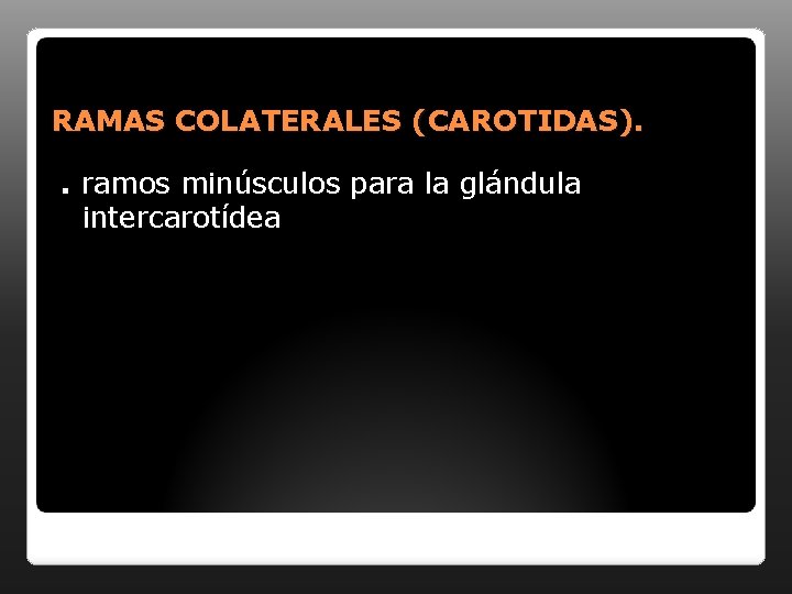 RAMAS COLATERALES (CAROTIDAS). . ramos minúsculos para la glándula intercarotídea 